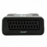 AURUM Scart zu HDMI Konverter